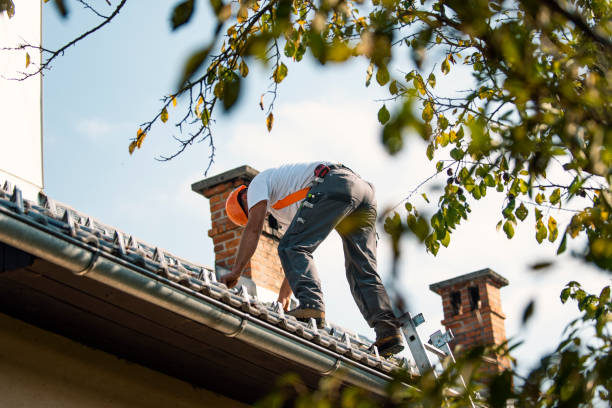 Best Metal Roofing Contractor  in Chesterton, IN