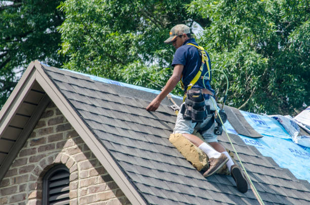 Best Roof Gutter Cleaning  in Chesterton, IN